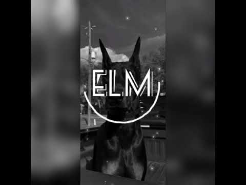 Stefy De Cicci feat. Reads - Feels Like Hоme