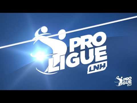 Matthieu Drouhin, Proligue, Saran Loiret Handball