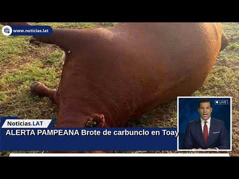 ALERTA PAMPEANA: Brote de carbunclo en Toay