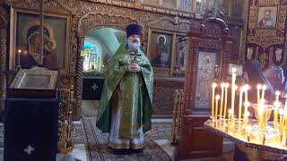 Проповедь на Вербное Воскресенье, 25-04-2021