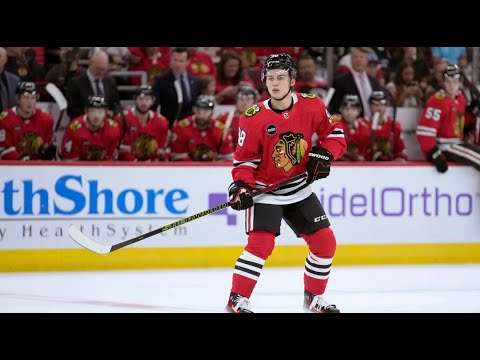 Connor Bedard - Human