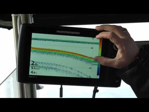 Echolotzentrum - Schulungen / 2D Sonar Grundlagen Teil 1