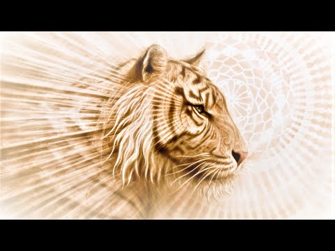 THe ART oF A. ANDReW GoNZaLeZ