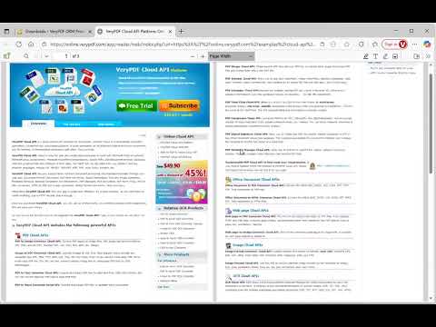 VeryPDF DRM Protector View Modes
