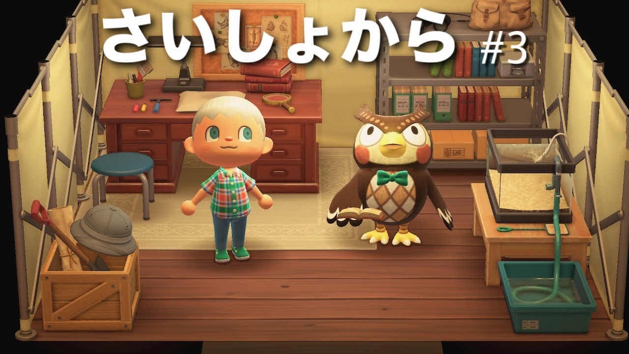 【あつ森】さいしょから70日間島生活。フータが来た次の日【あつまれどうぶつの森】