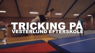 Tricking på Vesterlund Efterskole 15/16 (Den 8. marts 2016)