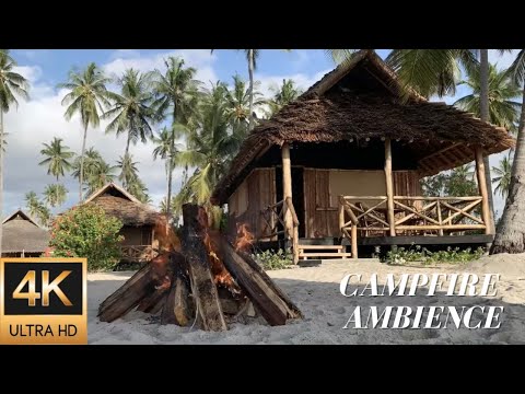 4K Campfire Ambience at a Beach Hut on a Palm Lined Tanzanian Beach - Relaxing Fire & Nature Sounds