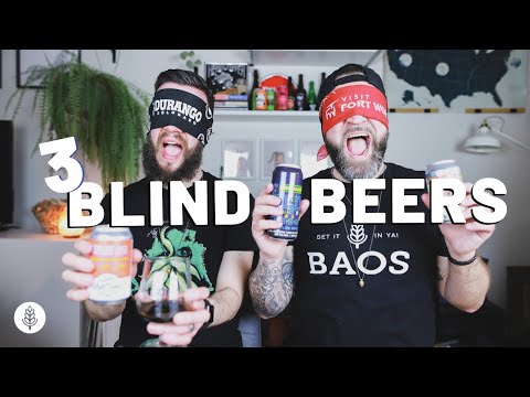 NOT CONFIDENT AT ALL | Blind Craft Beer Taste Challenge | 3 Blind Beers