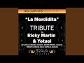 La Mordidita (In The Style Of Ricky Martin & Yotuel) [Tribute Version]