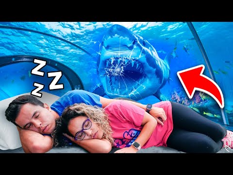 SOBREVIVEMOS A NOITE EM UM AQUÁRIO GIGANTE SEM NINGUÉM SABER! - MUITO INCRÍVEL!