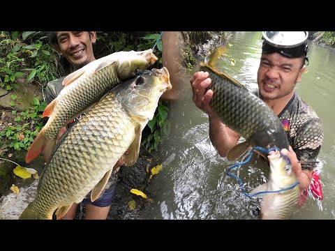 SE03EP186 - MAY NANG-IWAN! ( Ang PAG SUSULO ) San Pablo City, Laguna