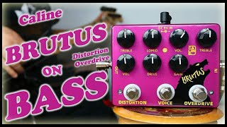 Video thumbnail for Caline DCP-02 Brutus Distortion Overdrive (Bass Demo) by Jo Bass