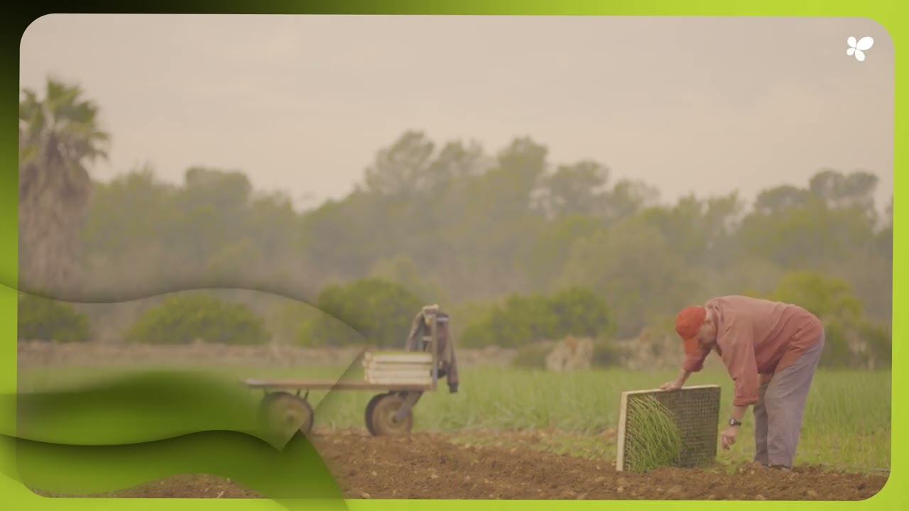 Incentius per evitar l'abandó de terres agrícoles de muntanya