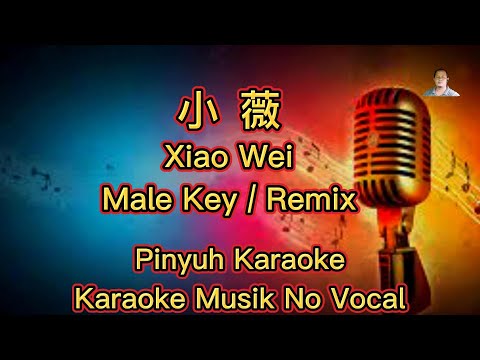 Xiao Wei  ~ 小薇 ~ Karaoke ~ Musik No Vocal
