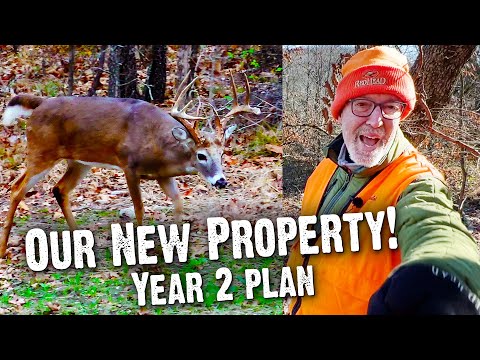 Our New Property! Creating the Perfect Deer Hunting Habitat - The Proving Grounds 2