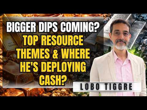 Top Resource Themes, Copper, Silver, Gold, Uranium and more - Lobo Tiggre