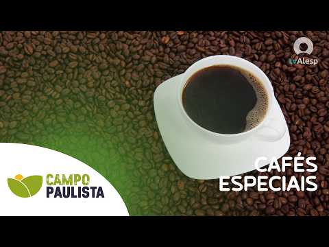 Espírito Santo do Pinhal e a produção de cafés especiais | Campo Paulista