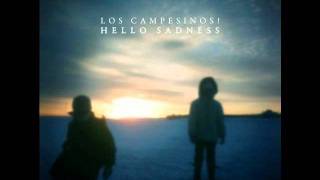 Los Campesinos! - Life Is A Long Time