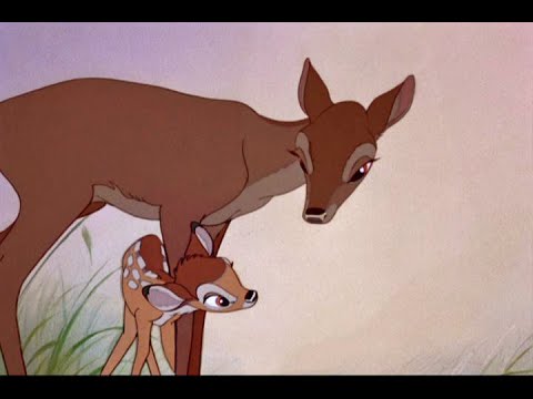 Bambi + Bambi 2 - Mother's Every Line