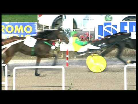 Trotto 25/10/2020 - 7ª corsa - G.P. Lotteria Finale