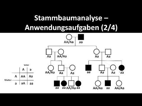 Phylogenetic analysis - Application tasks [2/4] - [Biology, Upper Secondary Level]