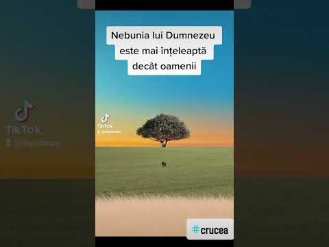 Nebunia lui Dumnezeu