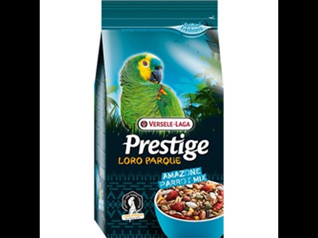 Vídeo relacionado con Versele-Laga Prestige Loro Parque African Parakeet Mix | 1 kg | Alimento seco para periquitos africanos | para una alimentación equilibrada y Rica en nutrientes | Mezcla de Semillas