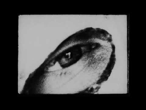4K Restoration – Official Teaser