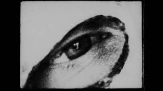 Begotten – 4K Restoration – Official Teaser