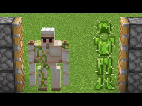 iron golem + all cactus armor = ?