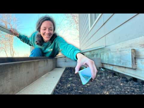 Permaculture: The Beginning of Sustainable Habitats