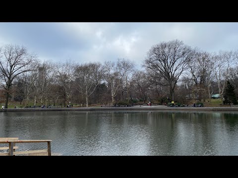 Onisim Grab-Se duce floarea tinereții (Acordeon)