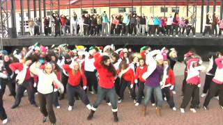 preview picture of video 'Lipdub Festival Sidanse 2010 Saguenay'