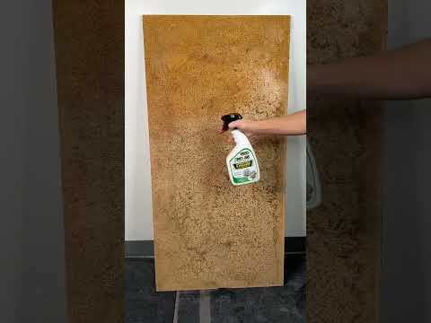 How to destroy mold in 15 seconds 👀#rmr #rmrsolutions #mold #moldremoval #moldremediation