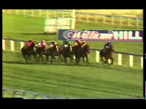 1980 Futurity Stakes (Racing Post Trophy) Beldale Flutter & Shergar