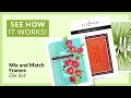 Elegant Mix & Match Frames Die Set for Paper Crafting