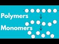 Monomers And Polymers What Biology Students MUST Know