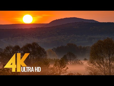 4K Autumn Gold and Winter Silver - Cinematic Film with Music and Nature Sounds - South Ural, Russia