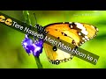 Mere Naseeb Mein Tu Hai Ki Nahi WhatsApp Status