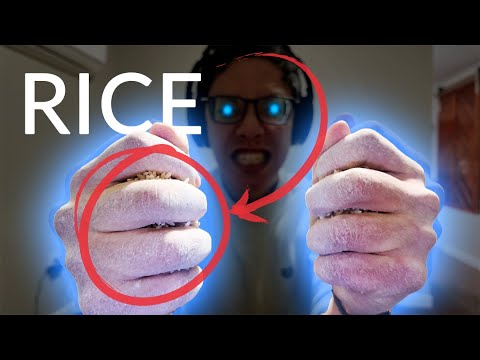 I trained Rice Bucket for 30 days