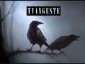Tvangeste - Damnation of Regiomontum 