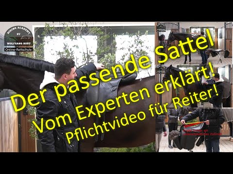 Does the saddle fit the horse and rider? Is the saddle positioned correctly? Saddle fitting; sadd...