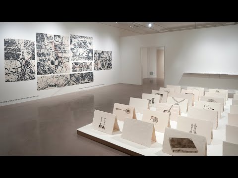Thelma Rosner: Where Can I Go Now? Exhibition Walkthrough