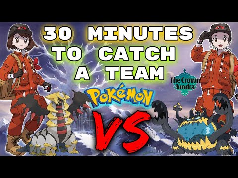 30 minutes to catch RANDOM POKEMON in the CROWN TUNDRA. Then we FIGHT!