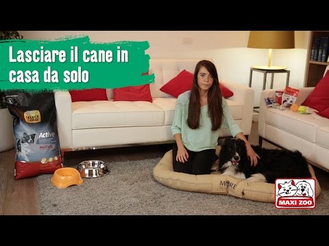 Contro semi di girasole di zucca di vermi Mezzi di una targa da vermi per la gente di uno spettro largo di attività
