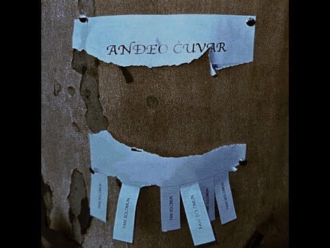 Fani Solomun - Anđeo čuvar (Visualizer)