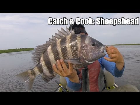 YouTube video about: Does sheepshead fish taste good?