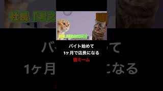 雀荘バイト#猫ミーム