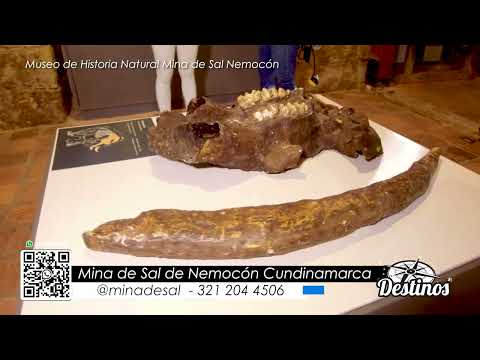 conoce la #minadesal y el #museo de #historianatural  #nemocon #cundinamarca muy cerca #bogota