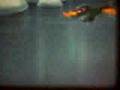 16MM PETER WOLF